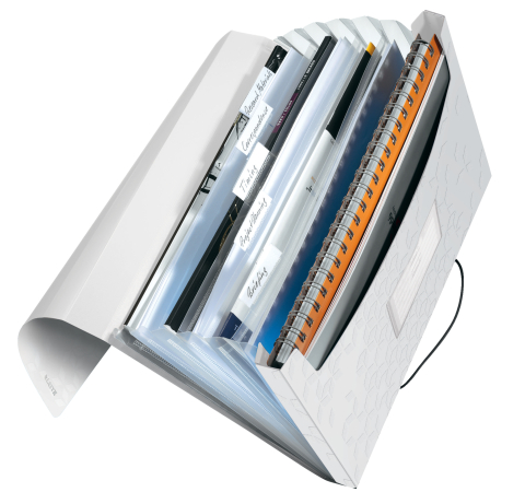 Mapa plastic 6 compartimente alb tip proiect wow leitz [1]