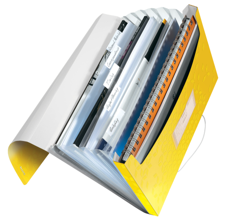 Mapa plastic 6 compartimente galben tip proiect wow leitz [1]