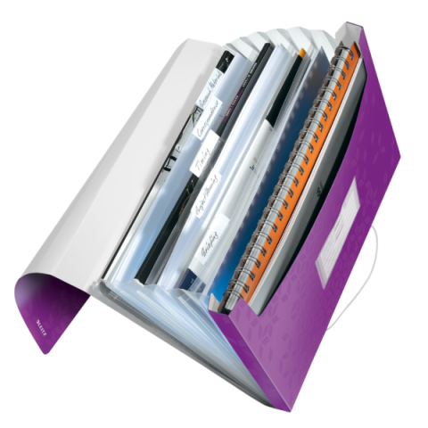 Mapa plastic 6 compartimente mov metalizat tip proiect wow leitz [2]