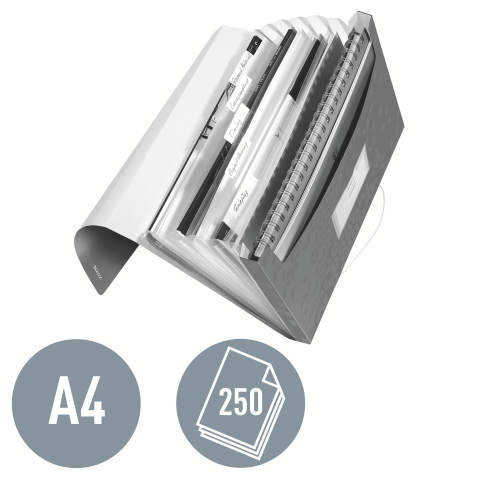 Mapa plastic 6 compartimente rosie tip proiect wow leitz [3]
