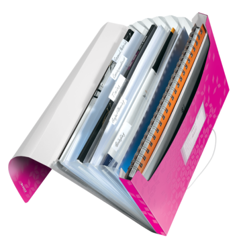 Mapa plastic 6 compartimente roz metalizat tip proiect wow leitz [2]