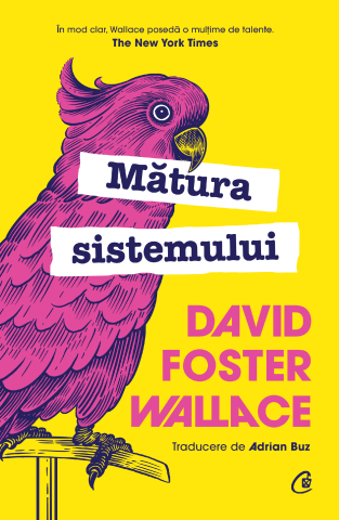 Carti pentru adulti si adolescenti - Mătura sistemului, autor David Foster Wallace