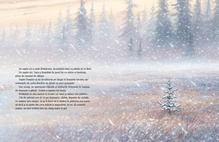 Micul brad de Margaret Wise Brown ilustratii de Jim LaMarche [2]