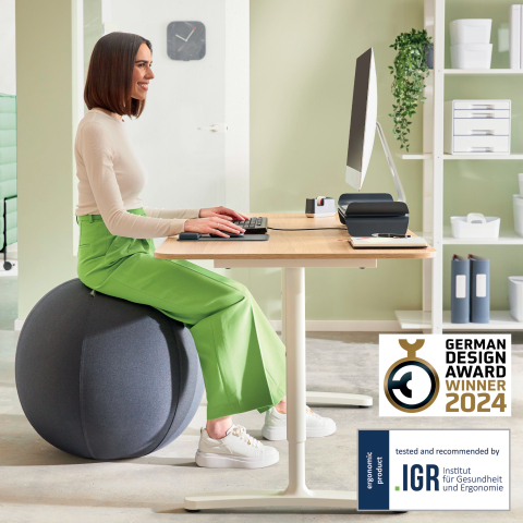 Minge ergonomica pt sezut sau fitness fct oprire 55cm gri carbune leitz [1]