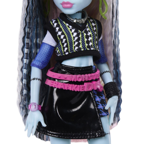 Monster high papusa frankie stein cu accesorii copii varsta 4 ani - 10 ani [8]