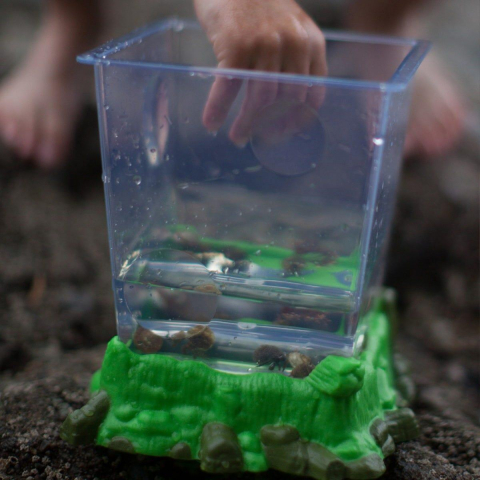 Observator insecte tip habitat - Geosafari [5]