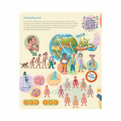 Pachet Raspundel Istetel: Creion + Carte Intru in joc,invat + Carte Corpul Uman + CADOU Tetris lemn [4]