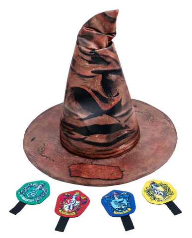 Îmbrăcăminte și accesorii - Palarie magica & insigne Harry Potter