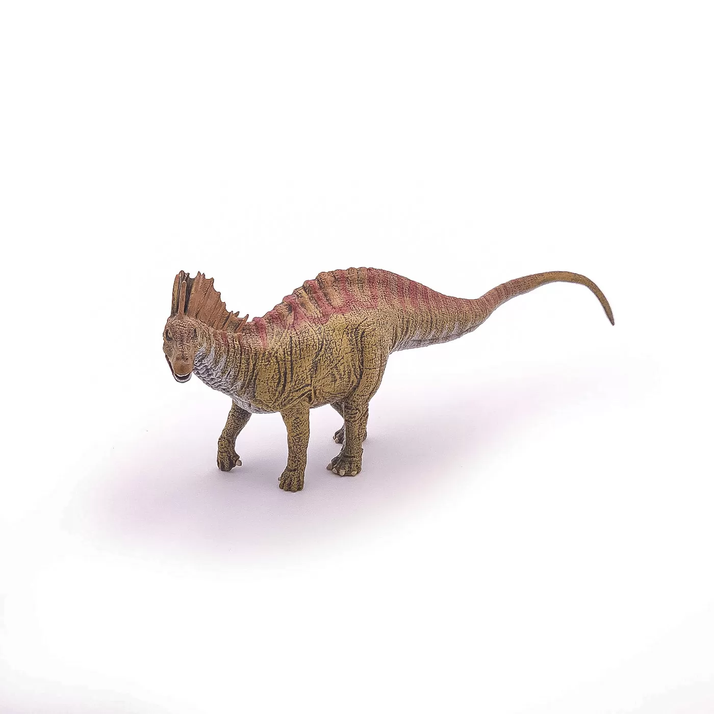 Papo figurina amargasaururs, varsta de la 3 ani la +15 ani [1]