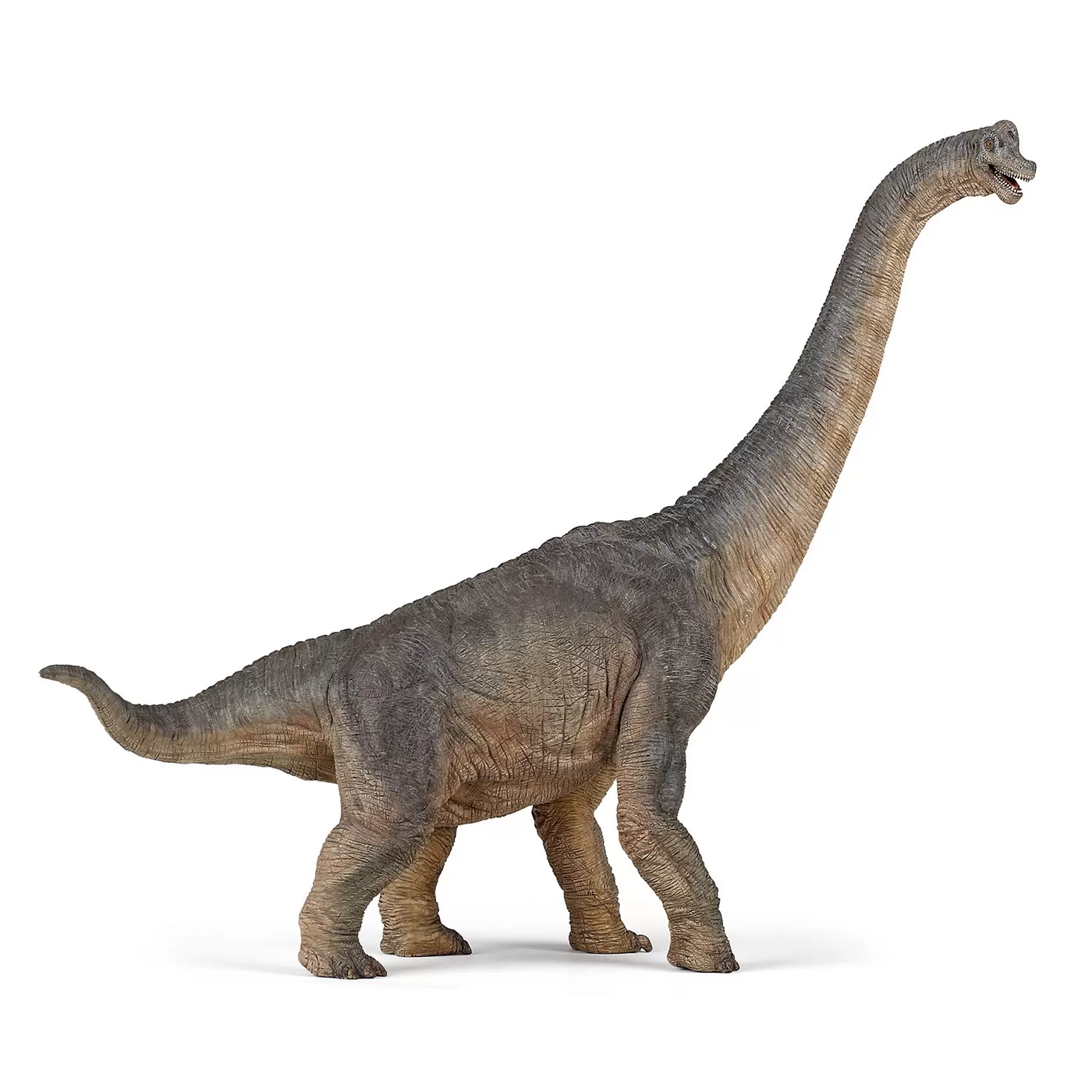 Jucării și Jocuri pentru copii - Papo figurina dinozaur brachiosaurus, varsta de la 3 ani la +15 ani