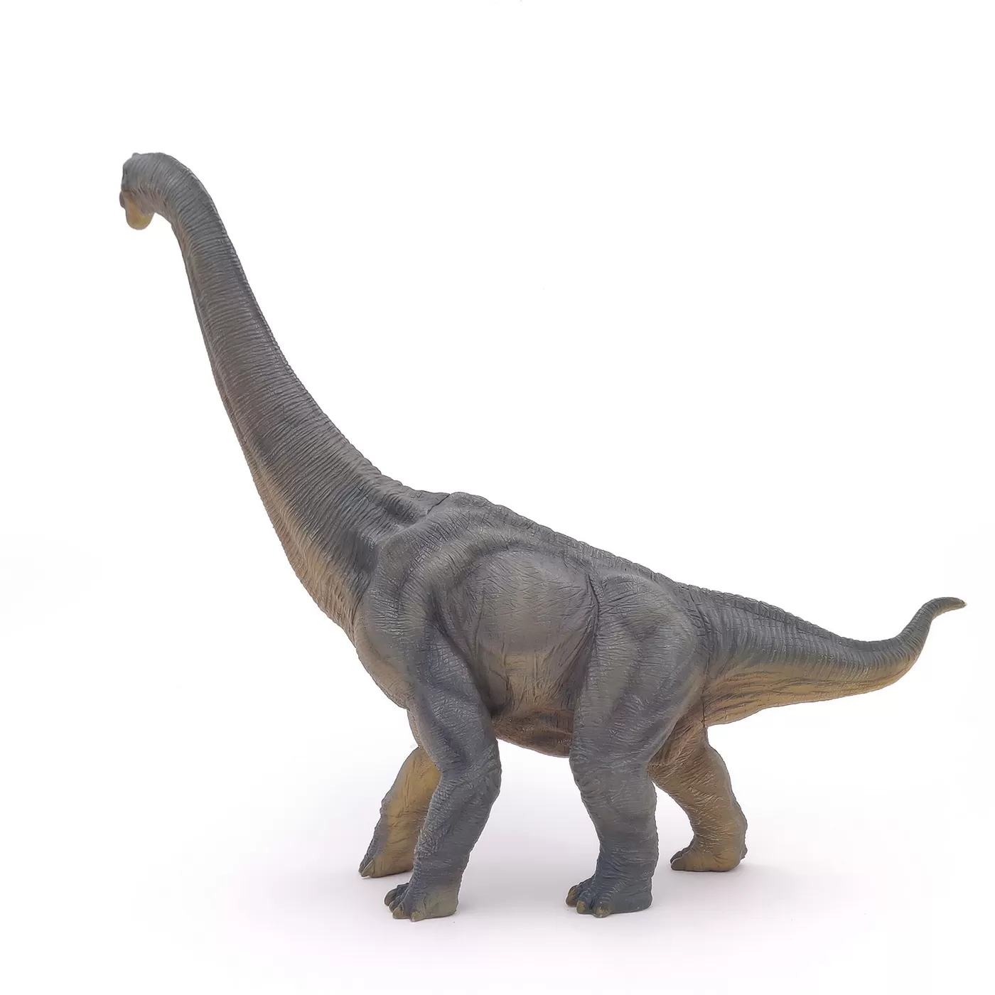 Papo figurina dinozaur brachiosaurus, varsta de la 3 ani la +15 ani [3]