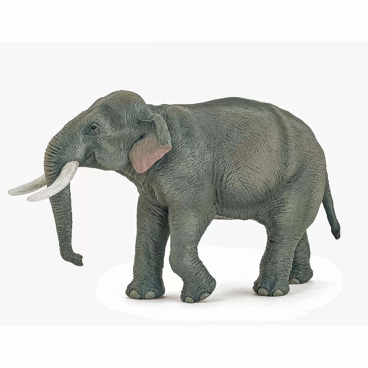 Jucării și Jocuri pentru copii - Papo figurina elefant asiatic, varsta de la 3 ani la +15 ani