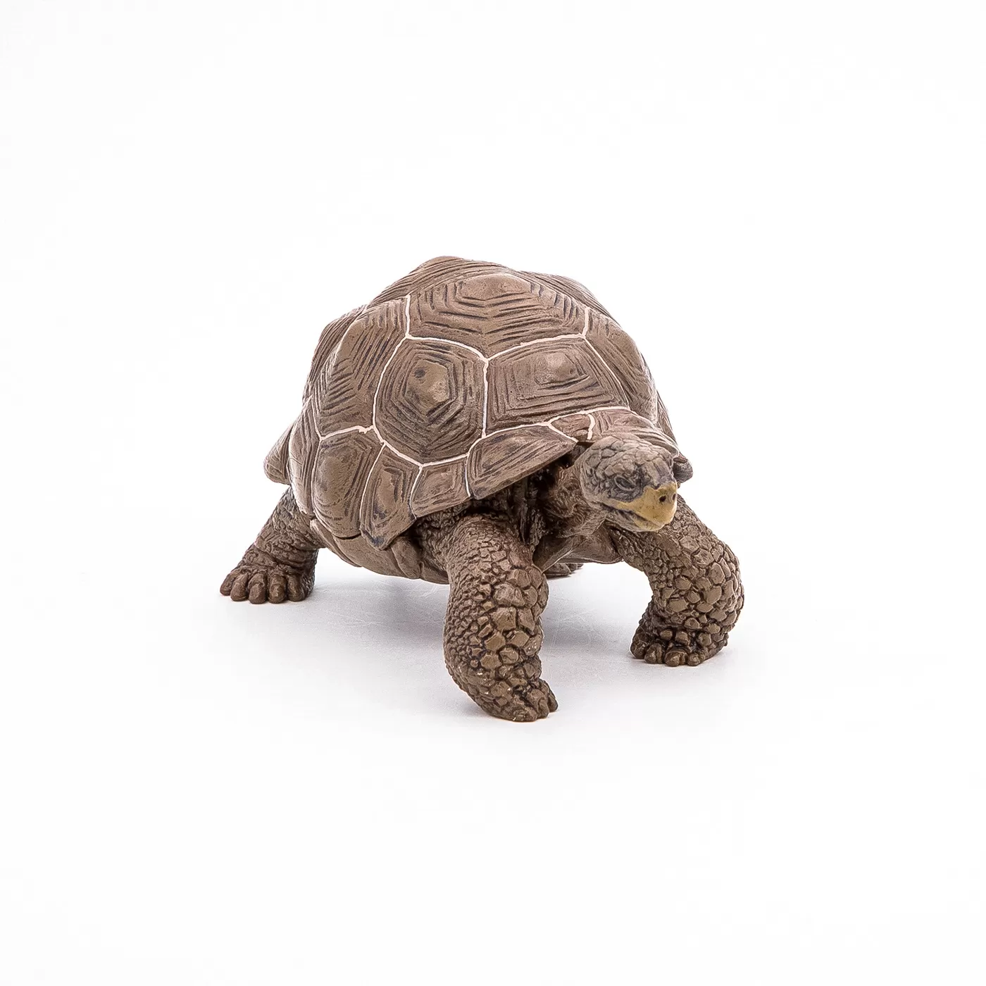 Papo figurina testoasa galapagos, varsta de la 3 ani la +15 ani [4]