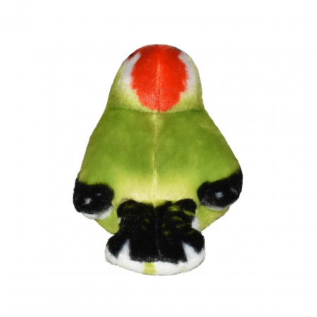 Pasare cu sunet Ciocanitoare Verde - GREEN WOODPECKER [4]