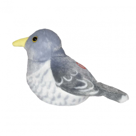 Pasare cu sunet Cuc - COMMON CUCKOO [2]
