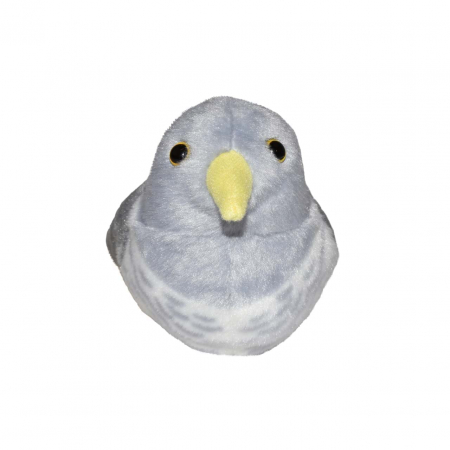 Pasare cu sunet Cuc - COMMON CUCKOO [1]
