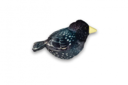 Pasare cu sunet Graur - STARLING [3]