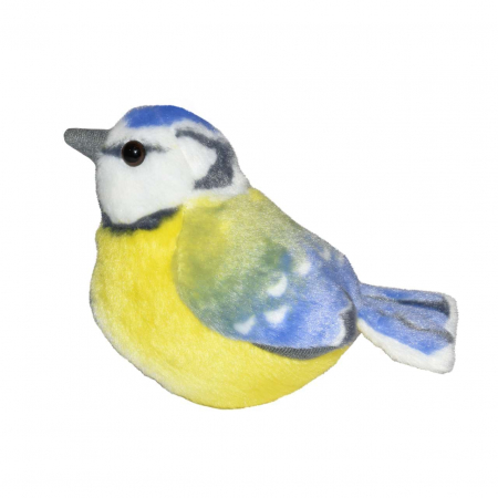 Pasare cu sunet Pitigoi Albastru - BLUE TIT [2]