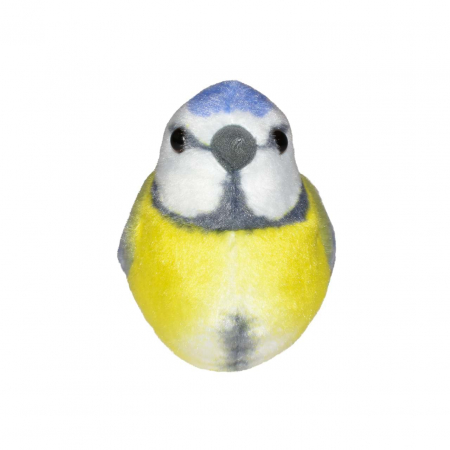 Pasare cu sunet Pitigoi Albastru - BLUE TIT [1]