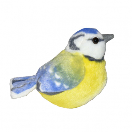 Pasare cu sunet Pitigoi Albastru - BLUE TIT [3]