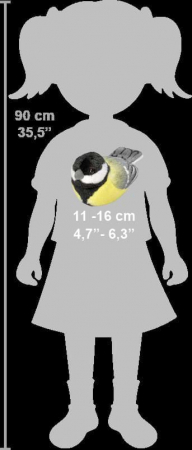 Pasare cu sunet Pitigoi Mare - GREAT TIT [5]