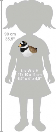 Pasare cu sunet Prundaras Gulerat Mic - RINGED PLOVER [5]