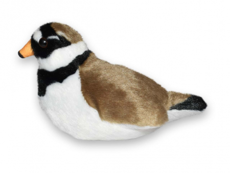 Pasare cu sunet Prundaras Gulerat Mic - RINGED PLOVER [2]