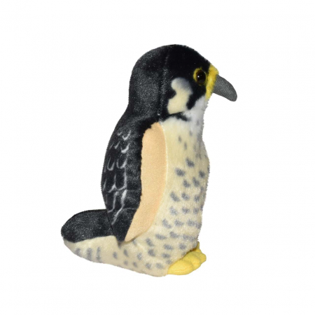Pasare cu sunet Soim Calator - PEREGRINE FALCON [3]