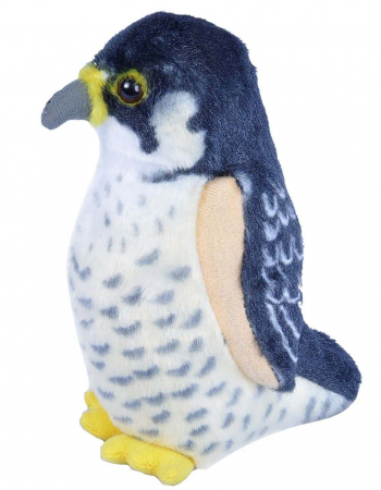 Jucării și Jocuri pentru copii - Pasare cu sunet Soim Calator - PEREGRINE FALCON