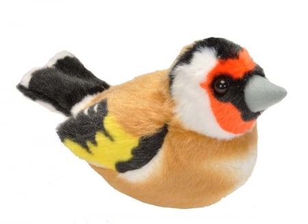 Jucării și Jocuri pentru copii - Pasare cu sunet Sticlete - EUROPEAN GOLDFINCH