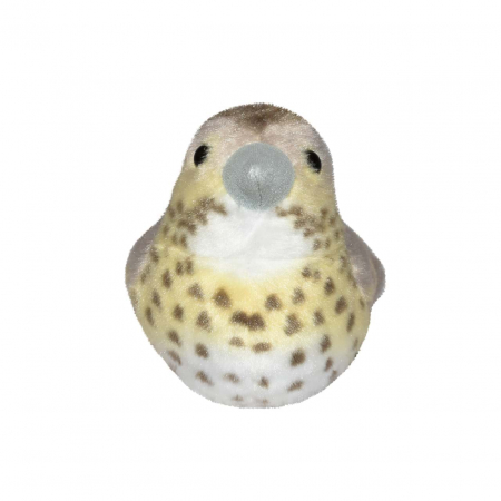 Pasare cu sunet Sturz cantator - SONG THRUSH [1]