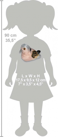Pasare cu sunet Turturea - TURTLE DOVE [3]