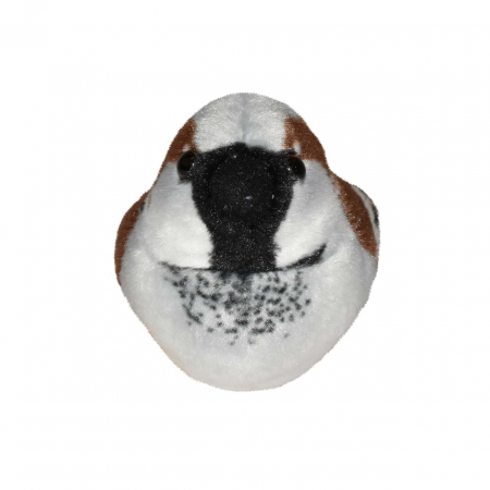 Pasare cu sunet Vrabiuta - HOUSE SPARROW [1]