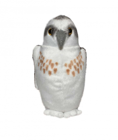 Pasare cu sunet Vultur Pescar - OSPREY [1]