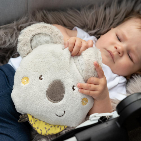 Pernuta anticolici - Koala [2]