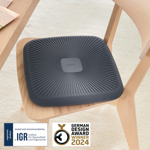 Pernuta ergonomica scaun gri carbune ergo leitz [1]