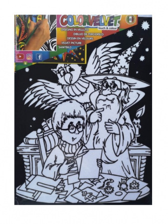 Tablou de colorat din catifea cu imagine Harry Potter si Vrajitorul [1]