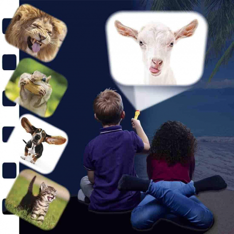 Proiector tip lanterna - Animalute haioase [5]