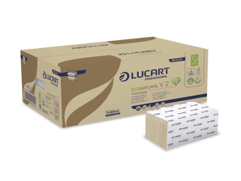 Curatenie, intretinere casa - Prosoape pliate V 2 Lucart EcoNatural, 2 str, 21 x 21 cm, 190 buc/pachet, 20 pachete/bax