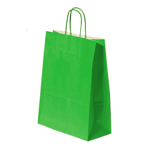 Birotică și Papetărie - Punga cadou Colorarte 04534 / 00549, B4, 26x35x12cm, 90g/mp, verde, manere din hartie rasucita