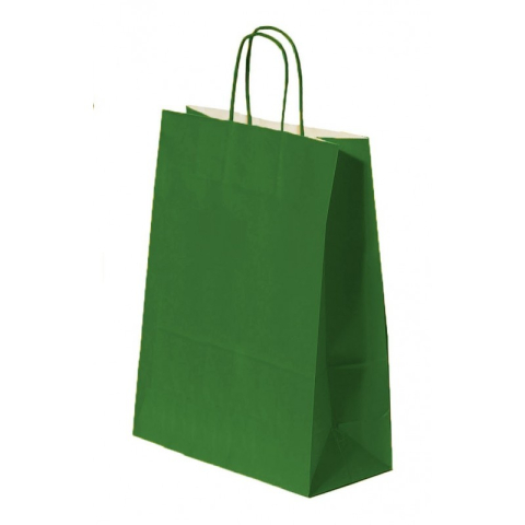 Birotică și Papetărie - Punga cadou Colorarte 04622 / 00479, B5, 18x22x8cm, 90g/mp, verde, manere din hartie rasucita