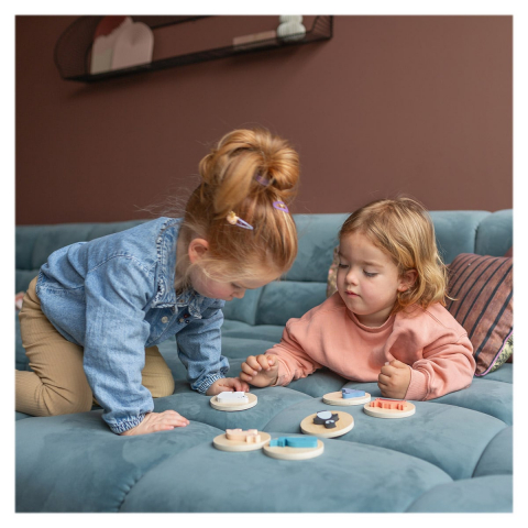 Puzzle de potrivire a formelor, Animale polare, 1-5 ani [1]