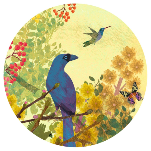 Puzzle galerie Paradis tropical , Djeco Baiat, Fata, varsta +9 ani [3]