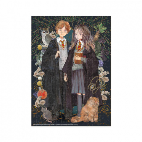Puzzle Harry Potter - Hermione si Ronald ( 300 piese) [2]
