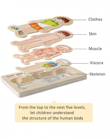 Partile corpului uman baiat, puzzle educativ din lemn, marca Onshine. [1]