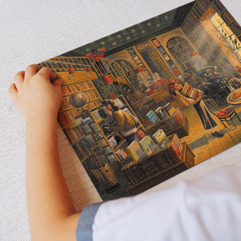 Puzzle - Libraria (300 piese) [5]