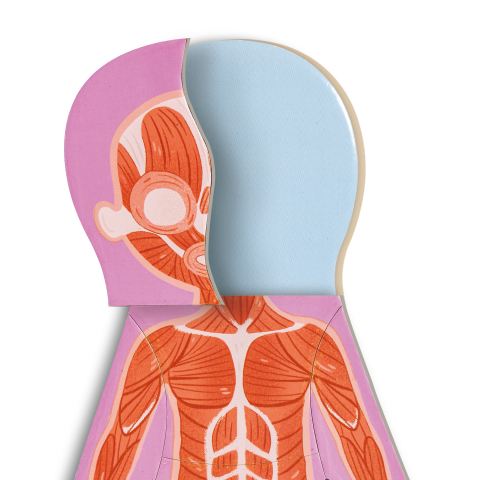 Puzzle magnetic pentru copii - Corpul uman (68 piese), copii varsta 3 ani+,6 ani+ [5]