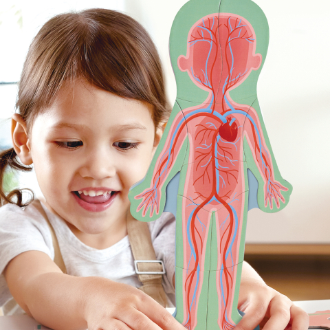 Puzzle magnetic pentru copii - Corpul uman (68 piese), copii varsta 3 ani+,6 ani+ [3]