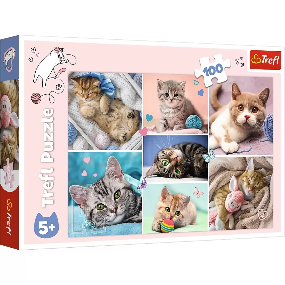Jucării și Jocuri pentru copii - Puzzle trefl 100 in lumea pisicilor
