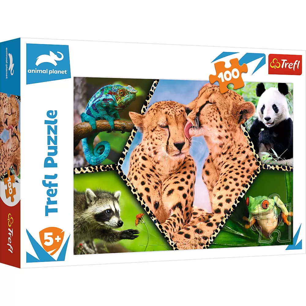 Jucării și Jocuri pentru copii - Puzzle trefl 100 natura frumoasa
